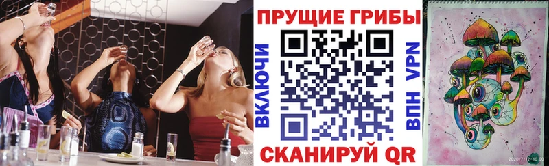 купить  сайты  Светлый  Галлюциногенные грибы Psilocybine cubensis 